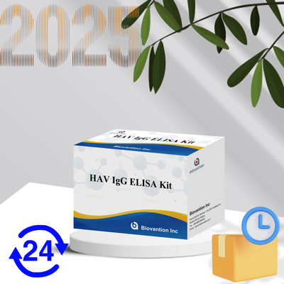 High Sensitivity HAV IgG ELISA Kit Chẩn đoán chính xác viêm gan A Virus đáng tin cậy được chứng nhận CE cho sử dụng lâm sàng và nghiên cứu