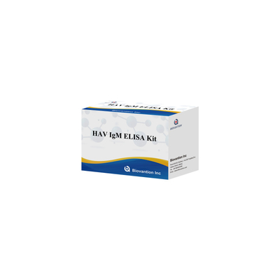 HAV IgM ELISA Kit Độ nhạy cao Viêm gan A Khám phá virus Kiểm tra chẩn đoán chính xác đáng tin cậy cho các phòng thí nghiệm lâm sàng