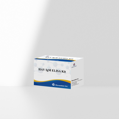 HAV IgM ELISA Kit Độ nhạy cao Viêm gan A Khám phá virus Kiểm tra chẩn đoán chính xác đáng tin cậy cho các phòng thí nghiệm lâm sàng