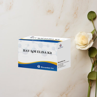HAV IgM ELISA Kit Độ nhạy cao Viêm gan A Khám phá virus Kiểm tra chẩn đoán chính xác đáng tin cậy cho các phòng thí nghiệm lâm sàng