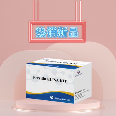 Biovantion Thiết bị thử nghiệm Ferritin Elisa độ nhạy cao Khảo sát định lượng cho chẩn đoán lâm sàng và nghiên cứu Sử dụng mẫu huyết thanh plasma của con người