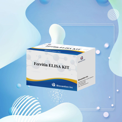 Biovantion Thiết bị thử nghiệm Ferritin Elisa độ nhạy cao Khảo sát định lượng cho chẩn đoán lâm sàng và nghiên cứu Sử dụng mẫu huyết thanh plasma của con người