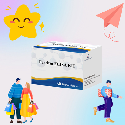 Biovantion Thiết bị thử nghiệm Ferritin Elisa độ nhạy cao Khảo sát định lượng cho chẩn đoán lâm sàng và nghiên cứu Sử dụng mẫu huyết thanh plasma của con người