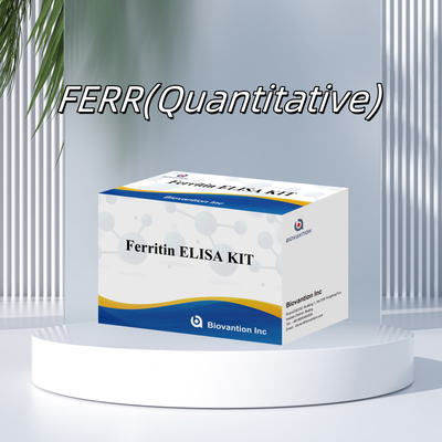 Biovantion Thiết bị thử nghiệm Ferritin Elisa độ nhạy cao Khảo sát định lượng cho chẩn đoán lâm sàng và nghiên cứu Sử dụng mẫu huyết thanh plasma của con người