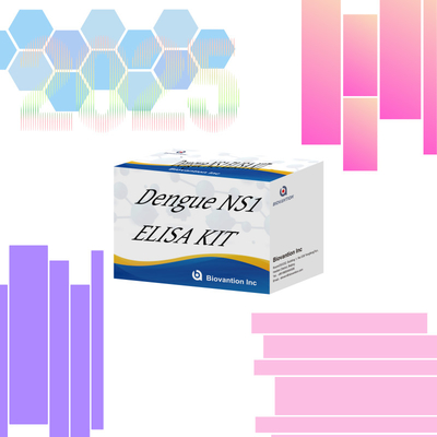 Dengue Ns1 ELISA KIT với thời hạn sử dụng 18 tháng cho chẩn đoán ở người
