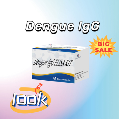 Bộ thử nghiệm IgG Elisa hiệu suất cao cho bệnh sốt xuất huyết cho các kết quả nhạy cảm và cụ thể