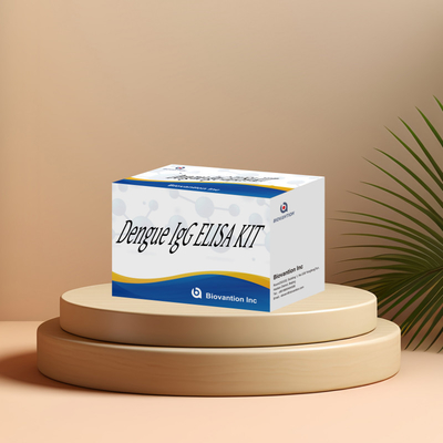 Bộ thử nghiệm IgG Elisa hiệu suất cao cho bệnh sốt xuất huyết cho các kết quả nhạy cảm và cụ thể
