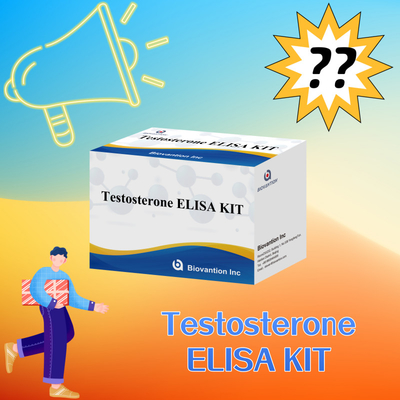 Bộ thử nghiệm kháng thể testosterone phát hiện chính xác và nhạy cảm