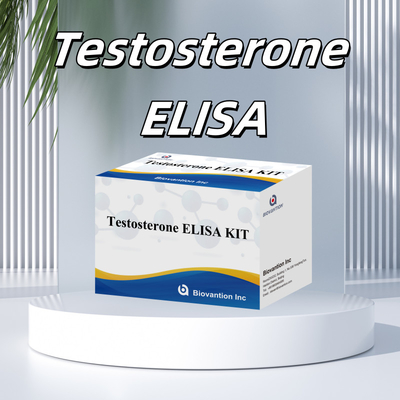 Bộ thử nghiệm kháng thể testosterone phát hiện chính xác và nhạy cảm