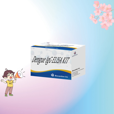 Bộ thiết bị ELISA IgG cho bệnh sốt xuất huyết có thể tùy chỉnh để phân tích các mẫu sinh học cụ thể