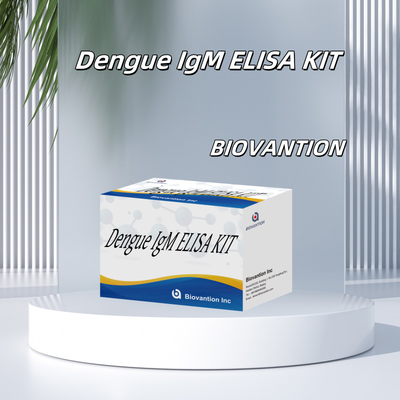 Bộ thử nghiệm IgM Elisa nhạy cảm cao cho bệnh sốt xuất huyết với giới hạn phát hiện thấp và độ chính xác cao