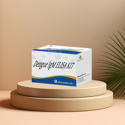 Bộ Elisa IgM cao độ nhạy cảm của bệnh sốt xuất huyết để phát hiện chính xác các mục tiêu phân tử và các dấu hiệu sinh học