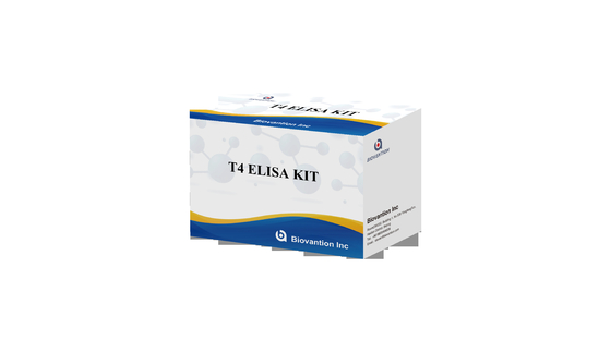 Bộ thử nghiệm Elisa T4 đặc tính cao để phát hiện chính xác các chất mục tiêu