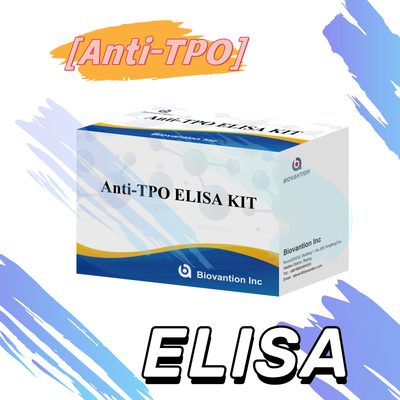 Bộ thử nghiệm Elisa TPO chính xác thuận tiện để theo dõi phát hiện bệnh