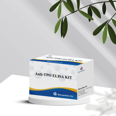 Bộ thử nghiệm Elisa TPO chính xác thuận tiện để theo dõi phát hiện bệnh