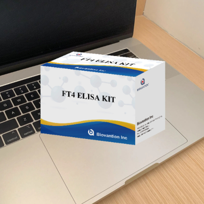 Đối với phòng thí nghiệm hoặc bệnh viện High Accuracy Thyroxine Free FT4 Elisa Test Kit