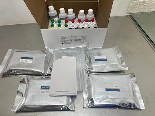 Bộ thuốc thử xét nghiệm ELISA HCV Enzyme Immunoassay để phát hiện kháng thể virus viêm gan C ở người, dùng trong chẩn đoán xét nghiệm