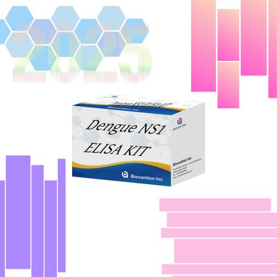 18 tháng Thời hạn sử dụng Bộ thử nghiệm ELISA IgM với độ nhạy cao và 96 xét nghiệm/ Bộ cho chẩn đoán trong phòng thí nghiệm bệnh viện