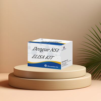 18 tháng Thời hạn sử dụng Bộ thử nghiệm ELISA IgM với độ nhạy cao và 96 xét nghiệm/ Bộ cho chẩn đoán trong phòng thí nghiệm bệnh viện