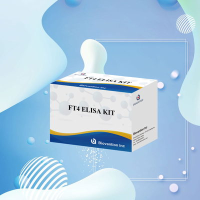 Bộ thử nghiệm Elisa FT4 chính xác với độ đặc trưng 98% và độ nhạy 95% cho các rối loạn tuyến giáp (96 xét nghiệm)
