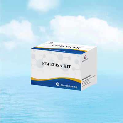 Bộ thử nghiệm Elisa FT4 chính xác với độ đặc trưng 98% và độ nhạy 95% cho các rối loạn tuyến giáp (96 xét nghiệm)