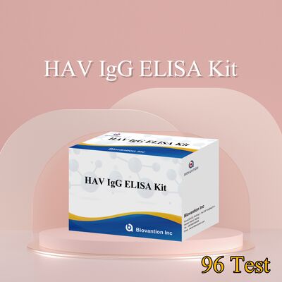 Bộ ELISA IgG HAV Độ nhạy cao (0.2 ng/mL) Đã được chứng nhận CE để Phát hiện Vi-rút Viêm gan A Chính xác trong 96 xét nghiệm