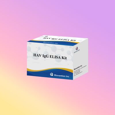Bộ ELISA IgG HAV Độ nhạy cao (0.2 ng/mL) Đã được chứng nhận CE để Phát hiện Vi-rút Viêm gan A Chính xác trong 96 xét nghiệm