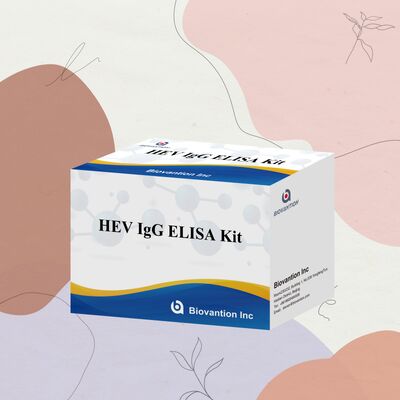 Bộ thử nghiệm ELISA HEV-IgG nhạy cao với kích thước 96T và thời hạn sử dụng 18 tháng để chẩn đoán viêm gan E
