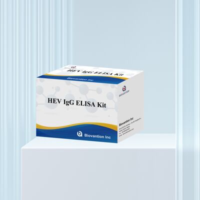 Bộ thử nghiệm ELISA HEV-IgG nhạy cao với kích thước 96T và thời hạn sử dụng 18 tháng để chẩn đoán viêm gan E