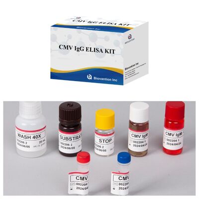 Bộ thử nghiệm 96T CMV ELISA với phát hiện màu và phương pháp sandwich cho kháng thể cytomegalovirus