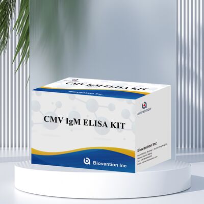 Bộ thử nghiệm 96T CMV ELISA với phát hiện màu và phương pháp sandwich cho kháng thể cytomegalovirus