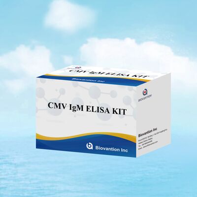 Bộ thử nghiệm 96T CMV ELISA với phát hiện màu và phương pháp sandwich cho kháng thể cytomegalovirus