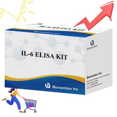 IL-6 Interleukin-6 Human ELISA Kit với độ chính xác 99% 24 tháng thời hạn sử dụng và 96 xét nghiệm/Kit