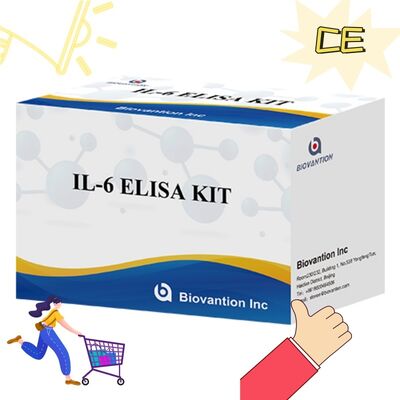 IL-6 Interleukin-6 Human ELISA Kit với độ chính xác 99% 24 tháng thời hạn sử dụng và 96 xét nghiệm/Kit