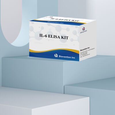 IL-6 Interleukin-6 Human ELISA Kit với độ chính xác 99% 24 tháng thời hạn sử dụng và 96 xét nghiệm/Kit