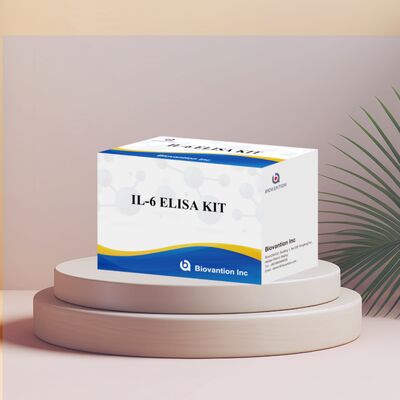 IL-6 Interleukin-6 Human ELISA Kit với độ chính xác 99% 24 tháng thời hạn sử dụng và 96 xét nghiệm/Kit