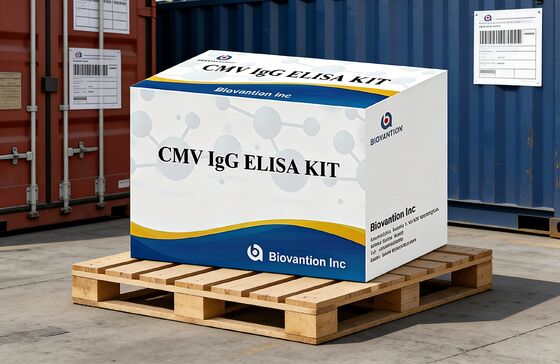 Phòng thí nghiệm hoặc bệnh viện High Accuracy CMV IgG Elisa Test Kit