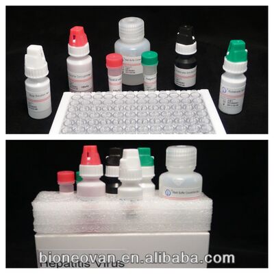 Bộ xét nghiệm ELISA HBsAg độ nhạy cao với thời gian xét nghiệm 2-3 giờ và hạn sử dụng 18 tháng để phát hiện Viêm gan B