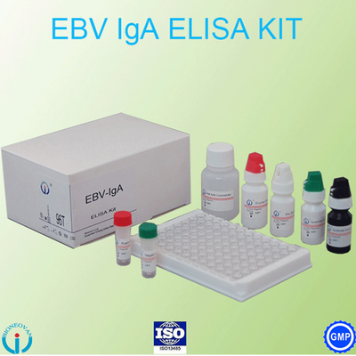 Xét nghiệm EBV-VCA IgA Ab Bộ xét nghiệm ELISA Bộ xét nghiệm xét nghiệm miễn dịch enzym Mẫu xét nghiệm huyết tương