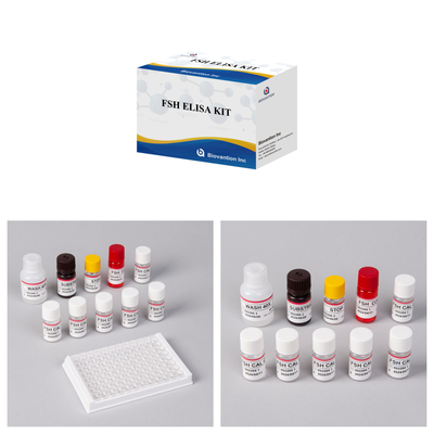 Bộ ELISA định lượng FSH tiên tiến cho độ nhạy cao và hiệu suất trong phát hiện chính xác