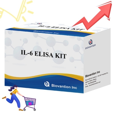 Bộ ELISA nhạy cao để phát hiện IL6 Các phản ứng nghiên cứu đáng tin cậy cho phân tích cytokine chính xác