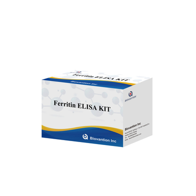 Biovantion Thiết bị thử nghiệm Ferritin Elisa độ nhạy cao Khảo sát định lượng cho chẩn đoán lâm sàng và nghiên cứu Sử dụng mẫu huyết thanh plasma của con người