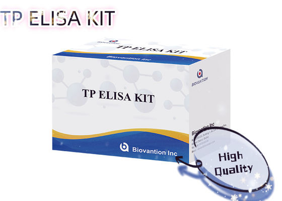 Bộ Kit Xét nghiệm Syphilis TP ELISA 96T Phát hiện kháng thể Treponema Pallidum trong huyết thanh người