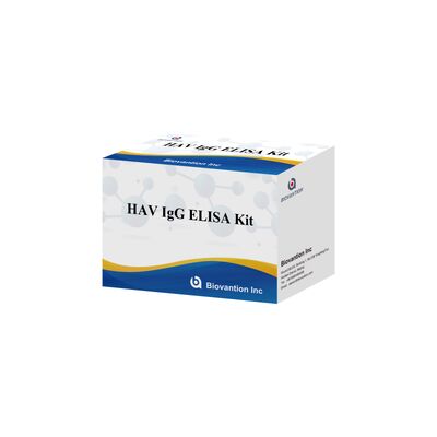 Bộ ELISA IgG HAV Độ nhạy cao (0.2 ng/mL) Đã được chứng nhận CE để Phát hiện Vi-rút Viêm gan A Chính xác trong 96 xét nghiệm
