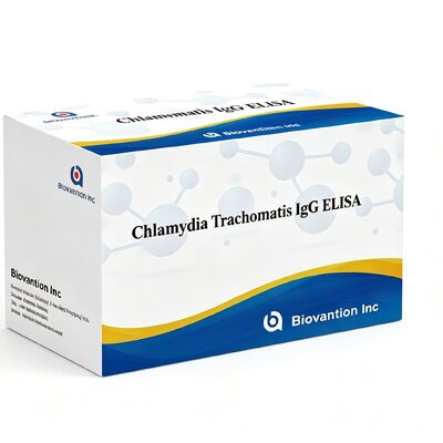 Kháng thể chống lại Chlamydia Trachomatis (Ct) IgG ELISA Test Kit Serum/Plasma