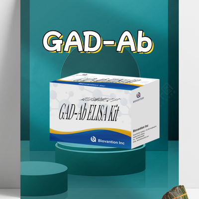 Anti-GAD ELISA Kit Human Glutamic Acid Decarboxylase Autoantibody ELISA KiT GAD-Ab / GAD65 Autoantibody Enzyme Linked Immunosorbent Assay Test Kit