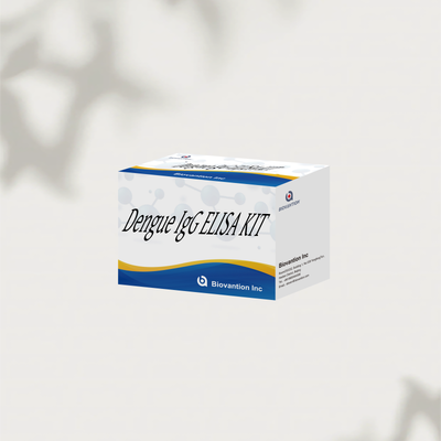 Bộ xét nghiệm Dengue IgG ELISA 96T Phát hiện định lượng kháng thể IgG virus Dengue ở người