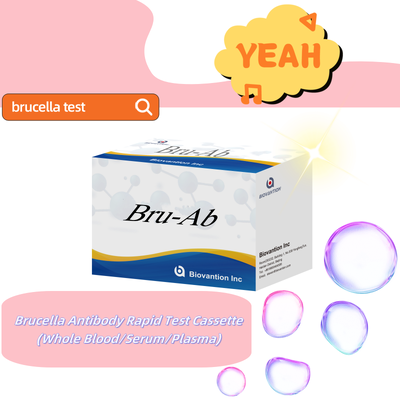 Bộ xét nghiệm ELISA kháng thể IgG/IgM Brucella ở người  Bộ xét nghiệm ELISA chẩn đoán Brucellosis bằng huyết thanh cho mẫu người