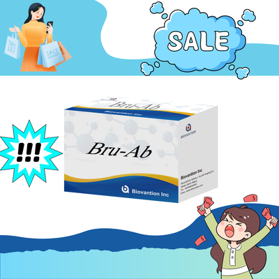 Bộ xét nghiệm ELISA kháng thể IgG/IgM Brucella ở người  Bộ xét nghiệm ELISA chẩn đoán Brucellosis bằng huyết thanh cho mẫu người